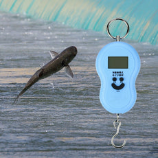 2017 Hot Sale New 50kg/10g Digital LCD Portable Fish Grip Electronic Hanging Hook For Fishing to Scale Weight #ES