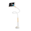 Powsrto Magnetic Phone Tablet Stand Holder For iPad Mini Air For iPhone 8 7 Samsung Long Arm Desktop Bed Tablet PC Stands Mount
